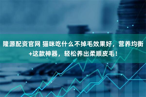 隆源配资官网 猫咪吃什么不掉毛效果好，营养均衡+这款神器，轻松养出柔顺皮毛！