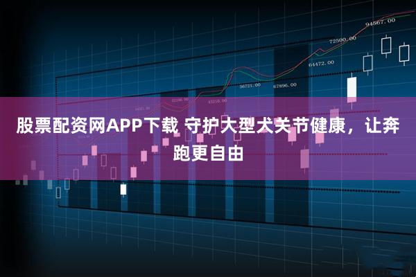 股票配资网APP下载 守护大型犬关节健康,让奔跑更自由